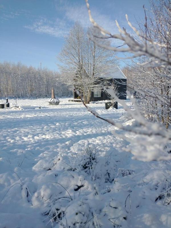 Miedzy Olchami Domek Nad Jeziorem. Noclegi Caloroczne. Cisza, Spokoj. Барчево Екстер'єр фото